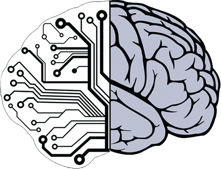 brain.png brain.png
